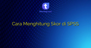 Cara Menghitung Skor di SPSS