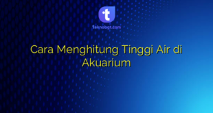Cara Menghitung Tinggi Air di Akuarium