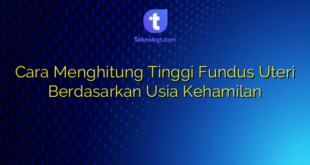 Cara Menghitung Tinggi Fundus Uteri Berdasarkan Usia Kehamilan