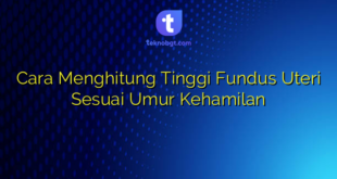 Cara Menghitung Tinggi Fundus Uteri Sesuai Umur Kehamilan