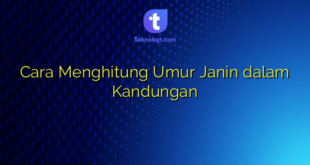 Cara Menghitung Umur Janin dalam Kandungan