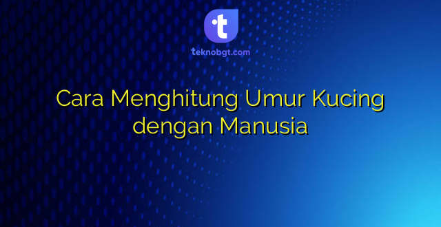Cara Menghitung Umur Kucing dengan Manusia