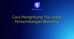 Cara Menghitung Yoy untuk Perkembangan Bisnismu