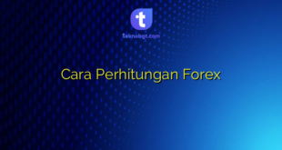 Cara Perhitungan Forex