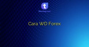 Cara WD Forex