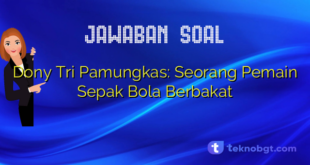 Dony Tri Pamungkas: Seorang Pemain Sepak Bola Berbakat