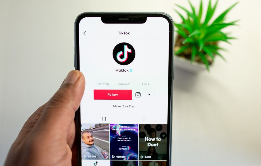 Download video tiktok by Musicallydown