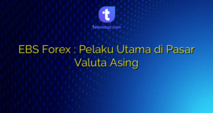 EBS Forex : Pelaku Utama di Pasar Valuta Asing