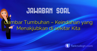 Gambar Tumbuhan – Keindahan yang Menakjubkan di sekitar Kita
