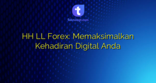 HH LL Forex: Memaksimalkan Kehadiran Digital Anda