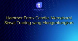 Hammer Forex Candle: Memahami Sinyal Trading yang Menguntungkan