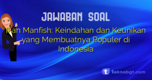 Ikan Manfish: Keindahan dan Keunikan yang Membuatnya Populer di Indonesia