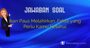 Ikan Paus Melahirkan: Fakta yang Perlu Kamu Ketahui