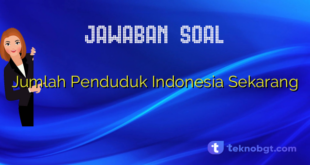 Jumlah Penduduk Indonesia Sekarang