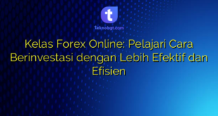 Kelas Forex Online: Pelajari Cara Berinvestasi dengan Lebih Efektif dan Efisien