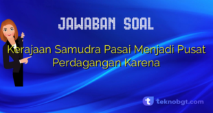 Kerajaan Samudra Pasai Menjadi Pusat Perdagangan Karena