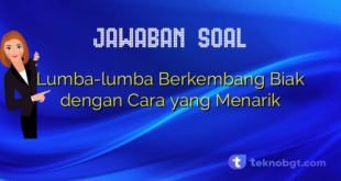 Lumba-lumba Berkembang Biak dengan Cara yang Menarik