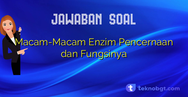 Macam-Macam Enzim Pencernaan dan Fungsinya
