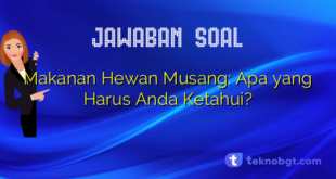 Makanan Hewan Musang: Apa yang Harus Anda Ketahui?