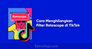 Menghilangkan Fitur Filter Rotoscope di Tiktok