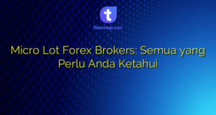 Micro Lot Forex Brokers: Semua yang Perlu Anda Ketahui