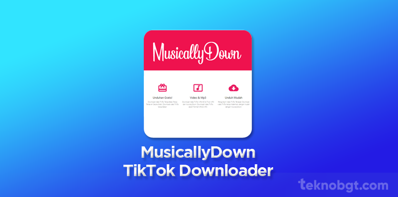 Musicallydown Tiktok Downloader