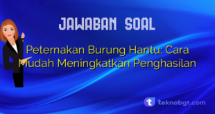 Peternakan Burung Hantu: Cara Mudah Meningkatkan Penghasilan