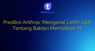 Prediksi Anthrax: Mengenal Lebih Jauh Tentang Bakteri Mematikan Ini