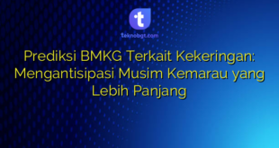 Prediksi BMKG Terkait Kekeringan: Mengantisipasi Musim Kemarau yang Lebih Panjang