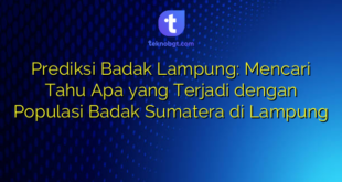 Prediksi Badak Lampung: Mencari Tahu Apa yang Terjadi dengan Populasi Badak Sumatera di Lampung