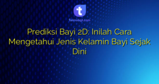 Prediksi Bayi 2D: Inilah Cara Mengetahui Jenis Kelamin Bayi Sejak Dini
