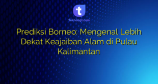 Prediksi Borneo: Mengenal Lebih Dekat Keajaiban Alam di Pulau Kalimantan