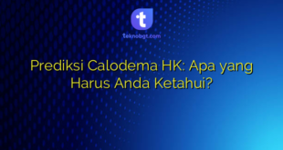 Prediksi Calodema HK: Apa yang Harus Anda Ketahui?