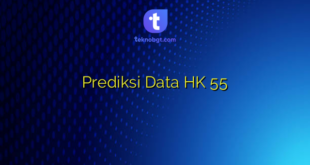 Prediksi Data HK 55