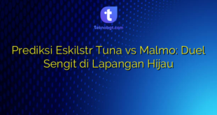 Prediksi Eskilstr Tuna vs Malmo: Duel Sengit di Lapangan Hijau