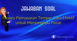 Proses Pemasaran Tempe: Cara Efektif untuk Menjangkau Pasar