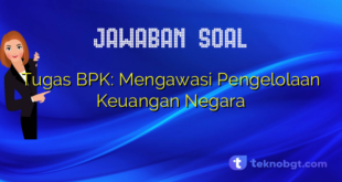 Tugas BPK: Mengawasi Pengelolaan Keuangan Negara