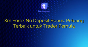 Xm Forex No Deposit Bonus: Peluang Terbaik untuk Trader Pemula
