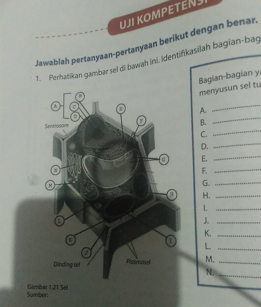 bagian yang menyusun sel tumbuhan