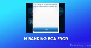 bca-eror