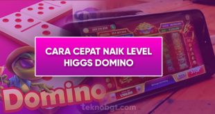 cara cepat naik level higgs domino