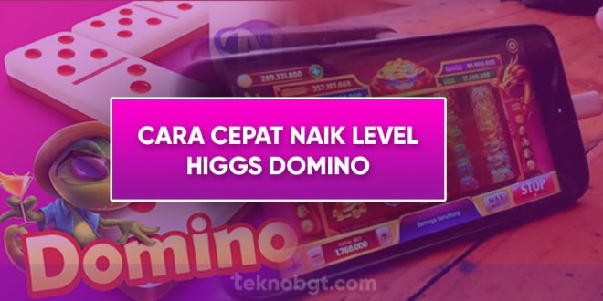 cara cepat naik level higgs domino