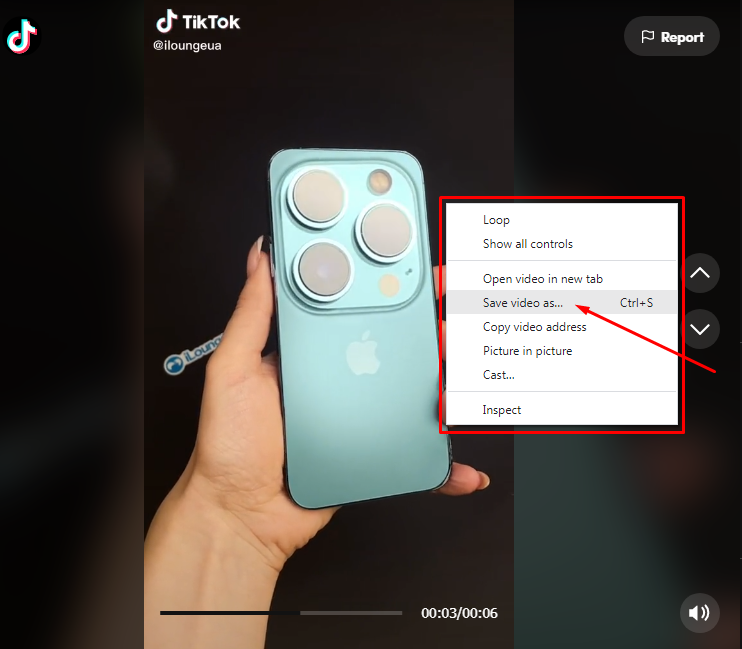 download video ditiktok_web