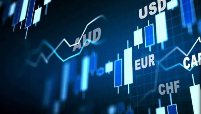keuntungan harian trading forex